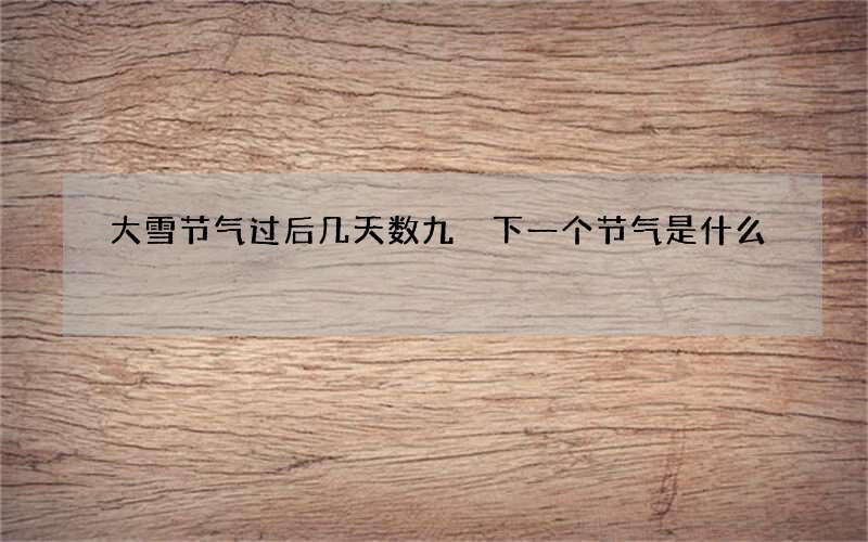 大雪节气过后几天数九 下一个节气是什么